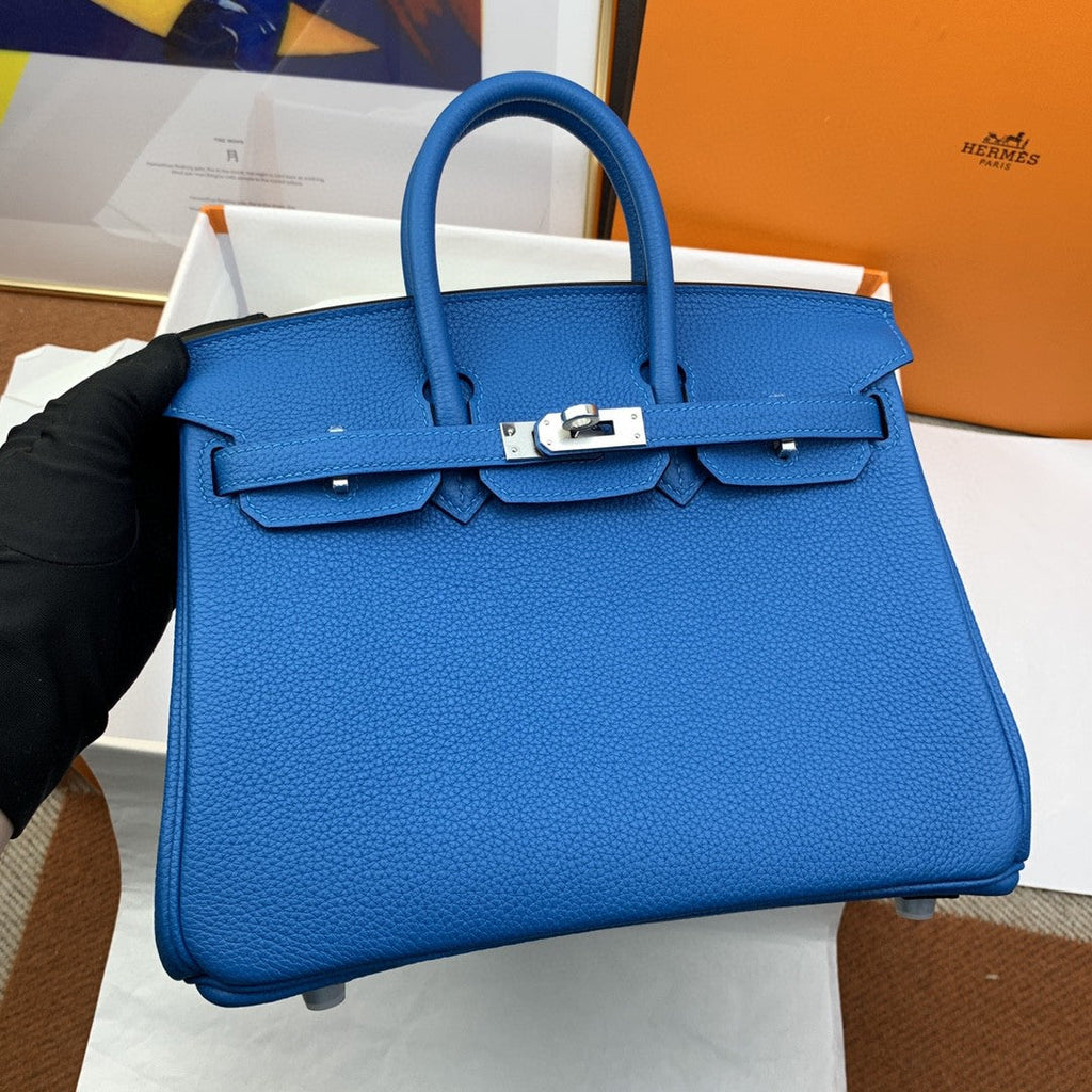 Hermes Birkin 25 Nata Swift Silver Hardware Blue