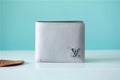Louis Vuitton Multiple Wallet 12cm