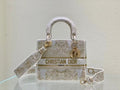 Christian Dior Medium Lady D-Lite Bag 24cm