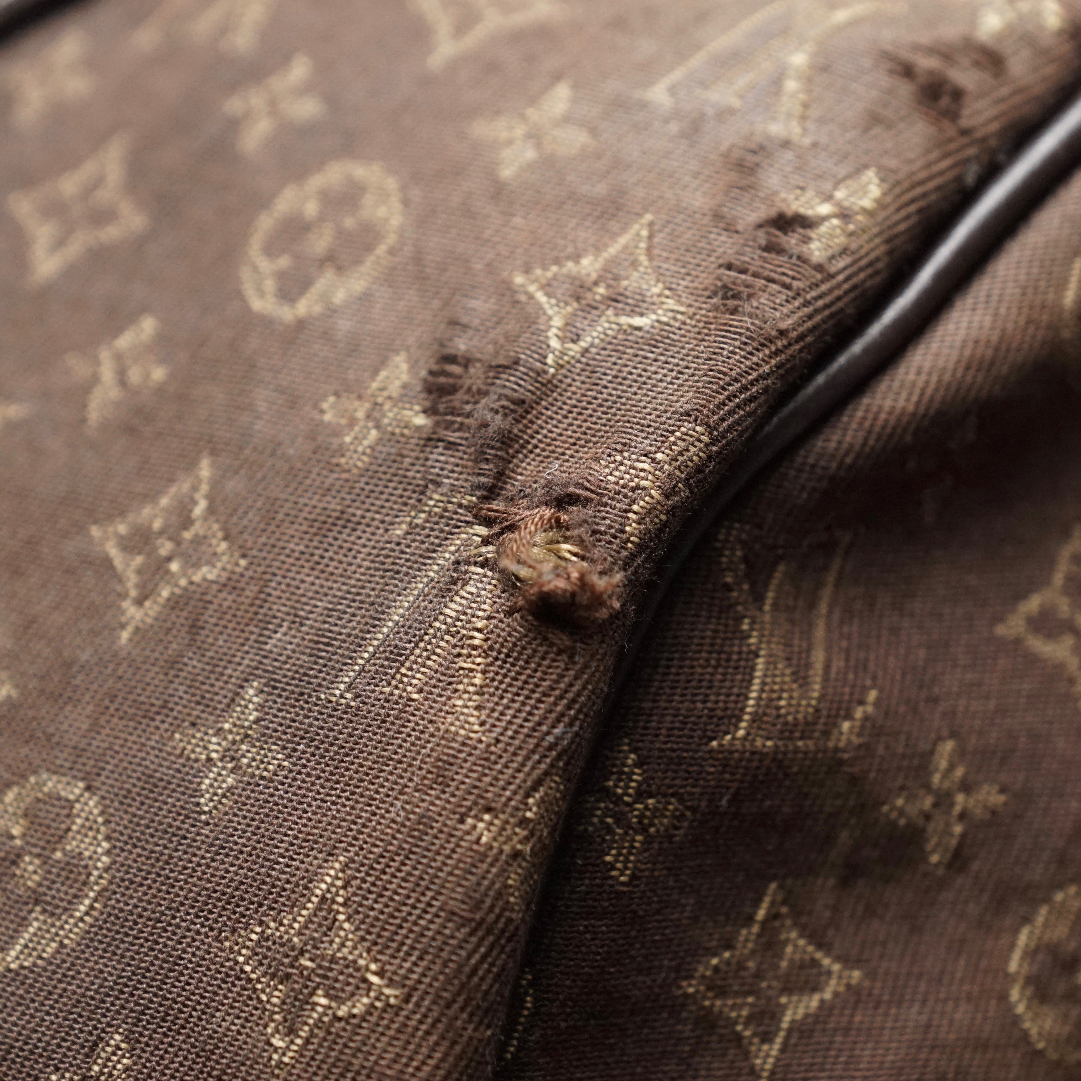 Louis Vuitton Speedy 30 Idylle