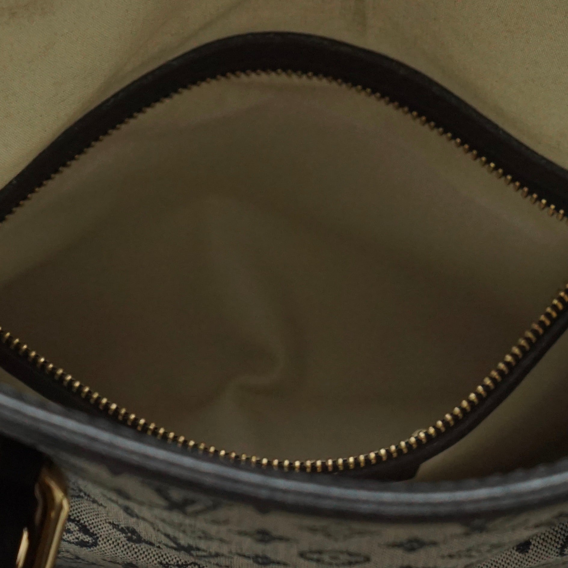 Louis Vuitton Francoise Mini Lin