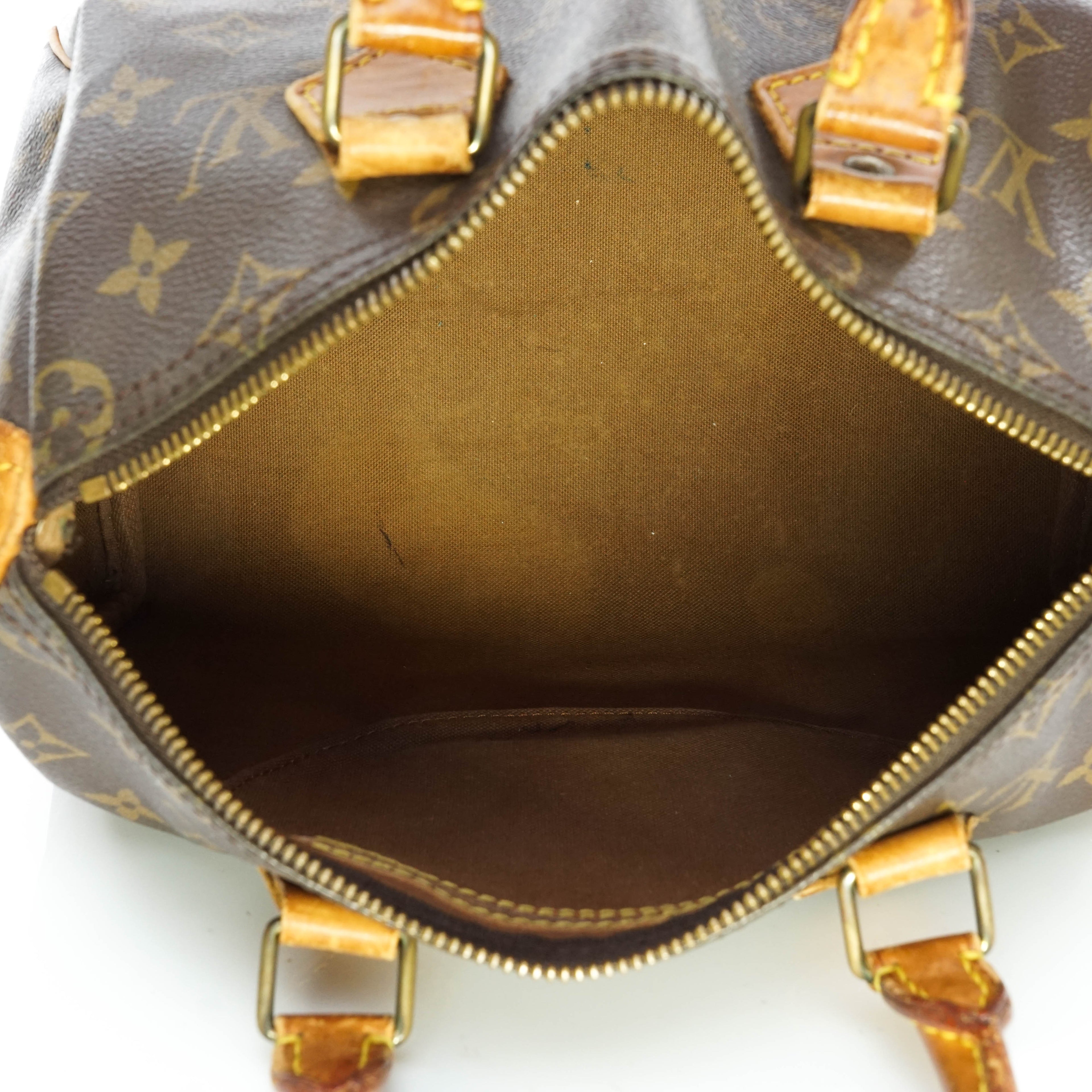 Louis Vuitton Speedy 25 Hand Bag