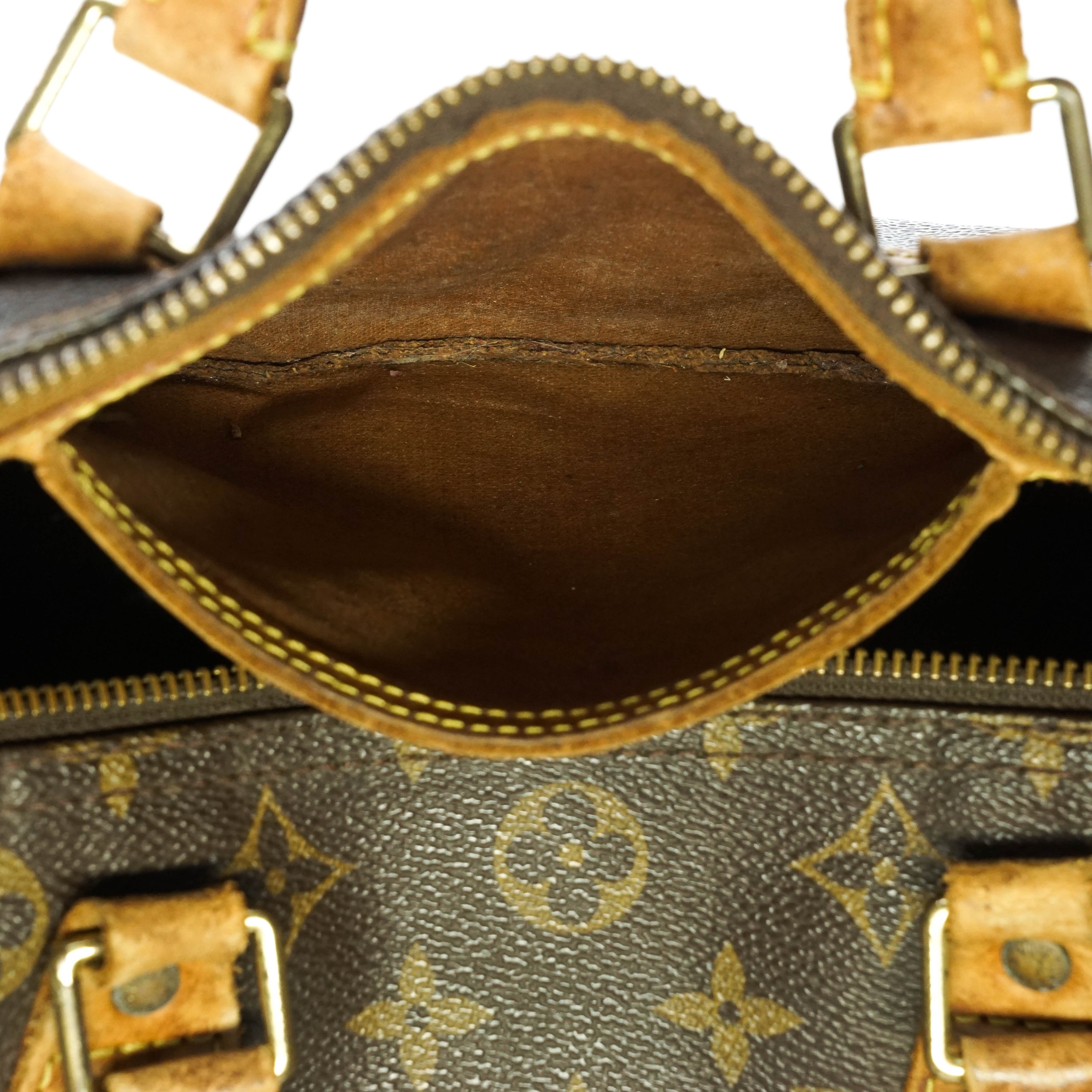 Louis Vuitton Speedy 30 Hand Bag