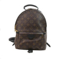Louis Vuitton Palm Springs Pm