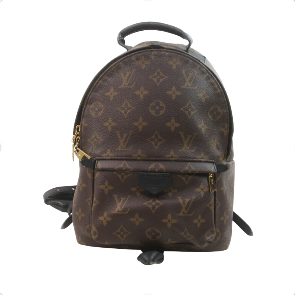 Louis Vuitton Palm Springs Pm