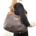 Louis Vuitton Galliera Pm Shoulder