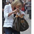 Louis Vuitton Galliera Gm Hand Bag