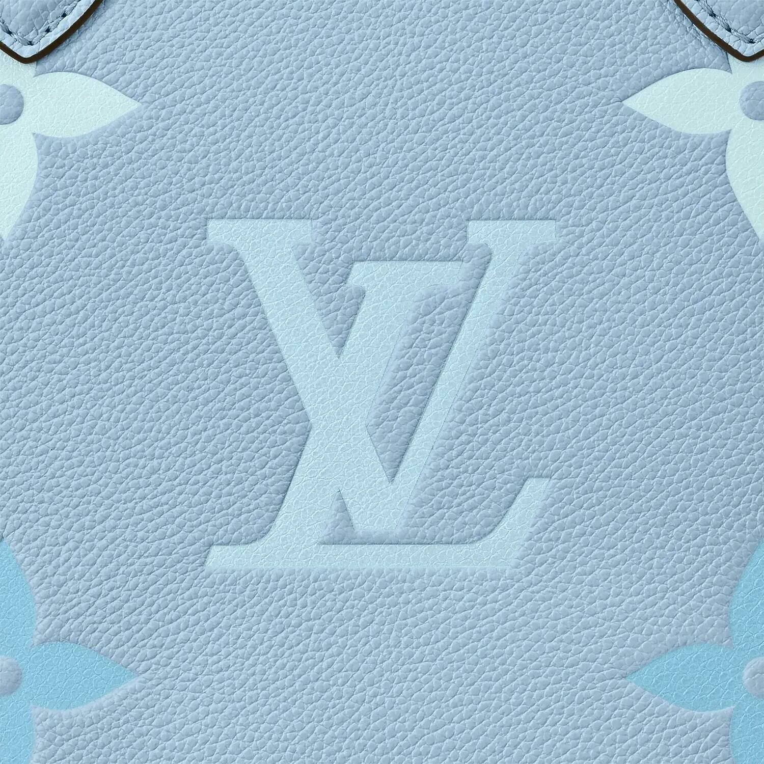 Louis Vuitton Onthego MM