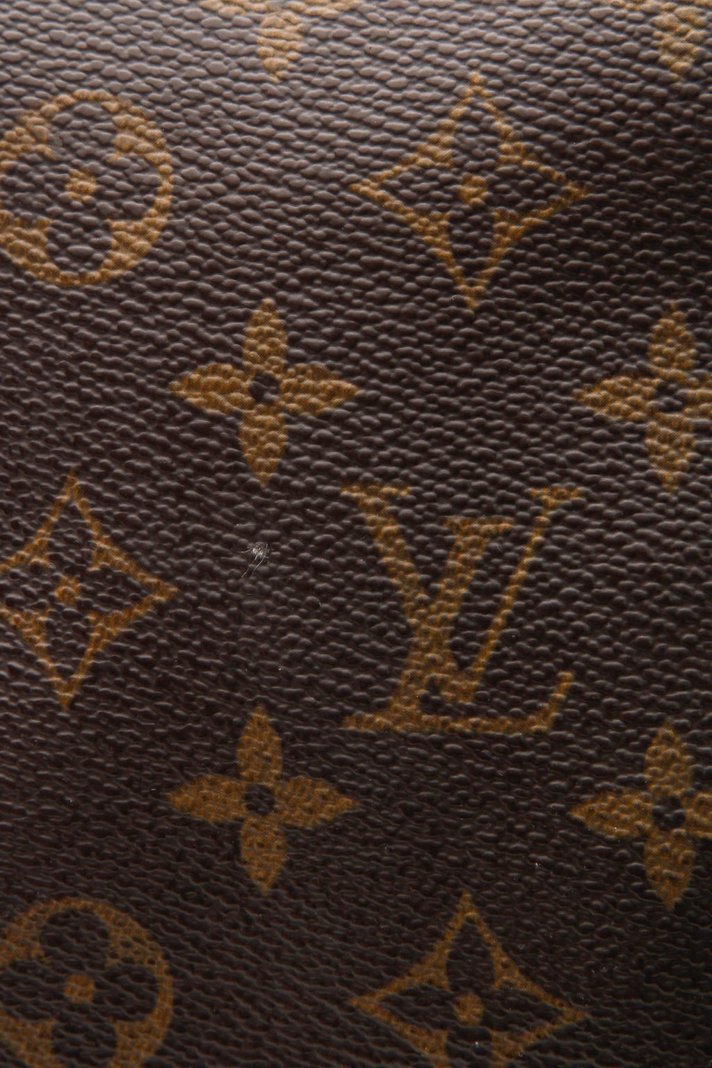 Speedy 25 Bag - Monogram