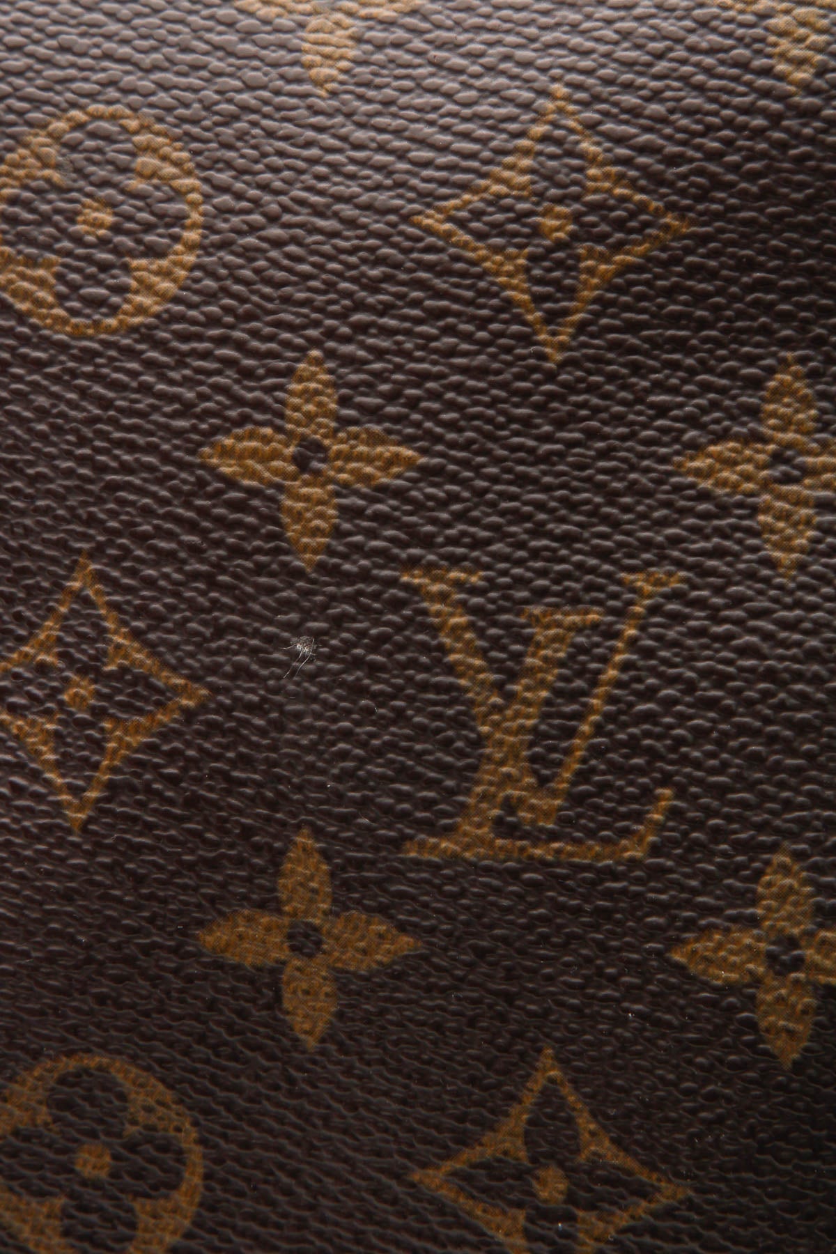 Speedy 25 Bag - Monogram