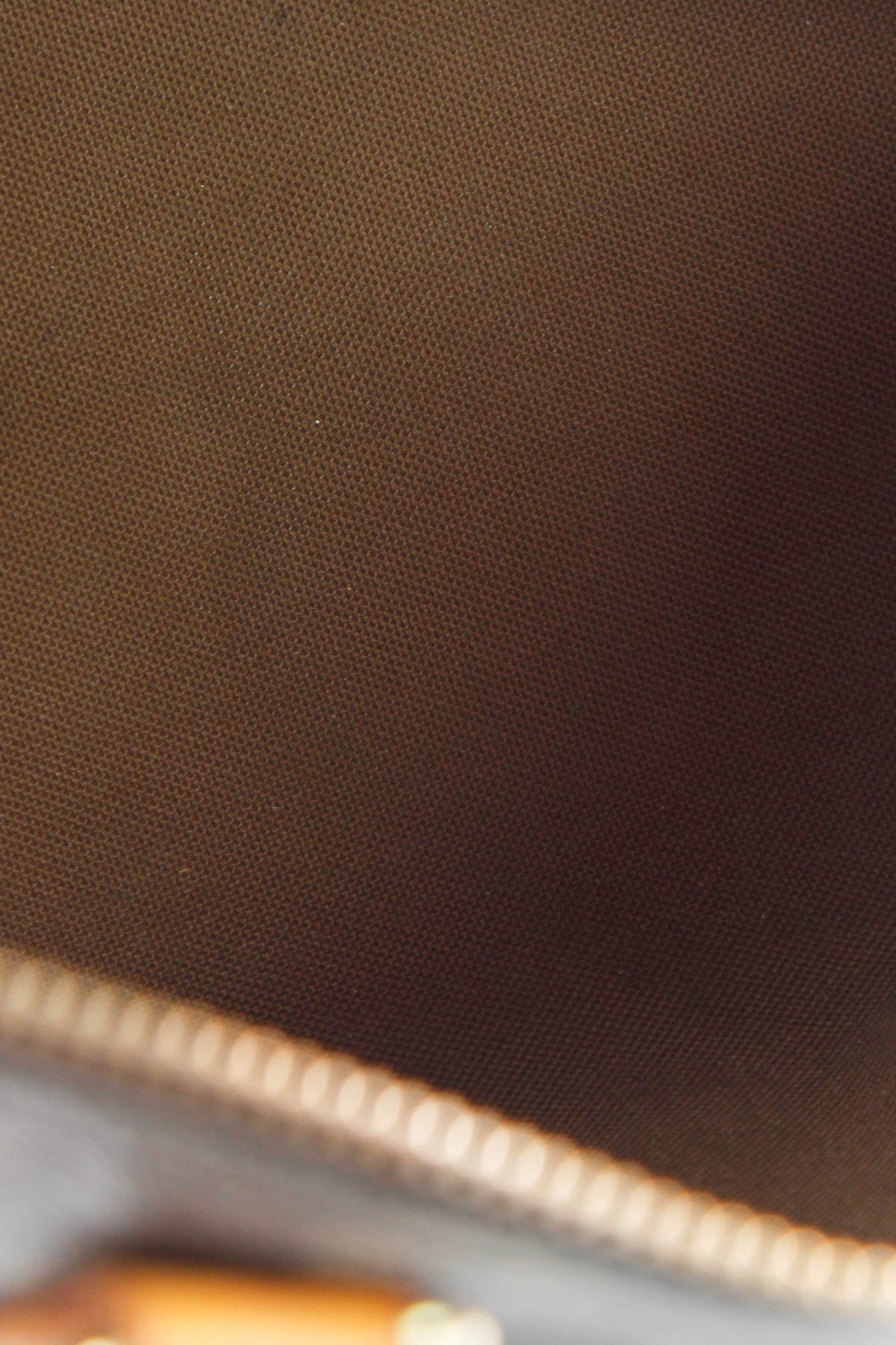 Speedy 25 Bag - Monogram