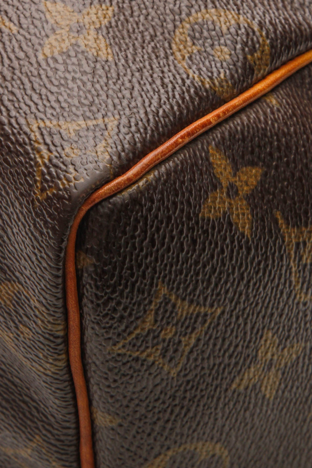 Speedy 25 Bag - Monogram