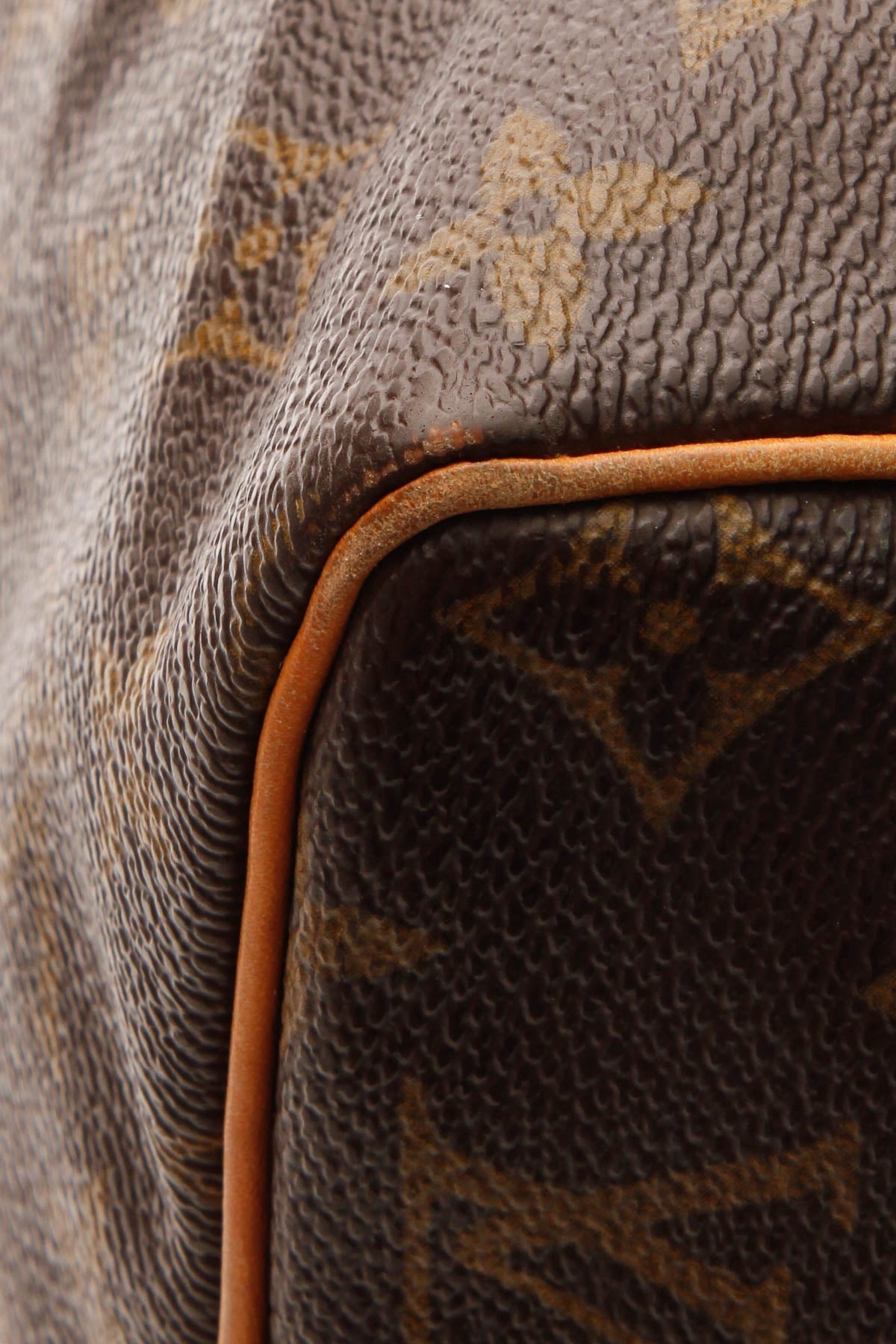 Speedy 30 Bag - Monogram