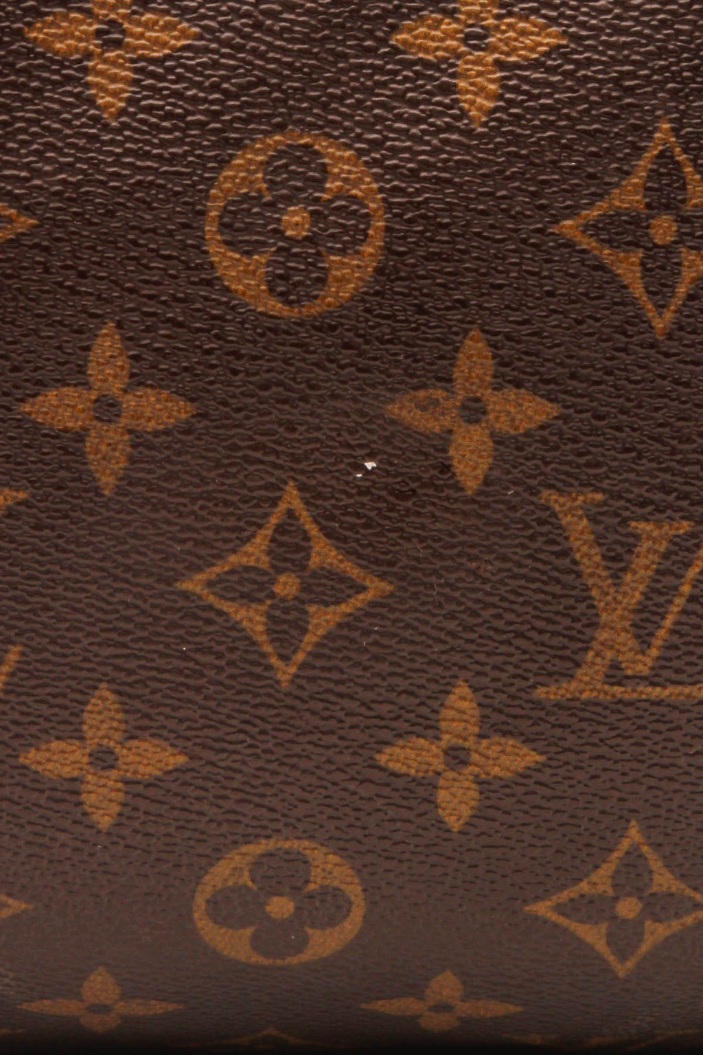 Speedy 30 Bag - Monogram