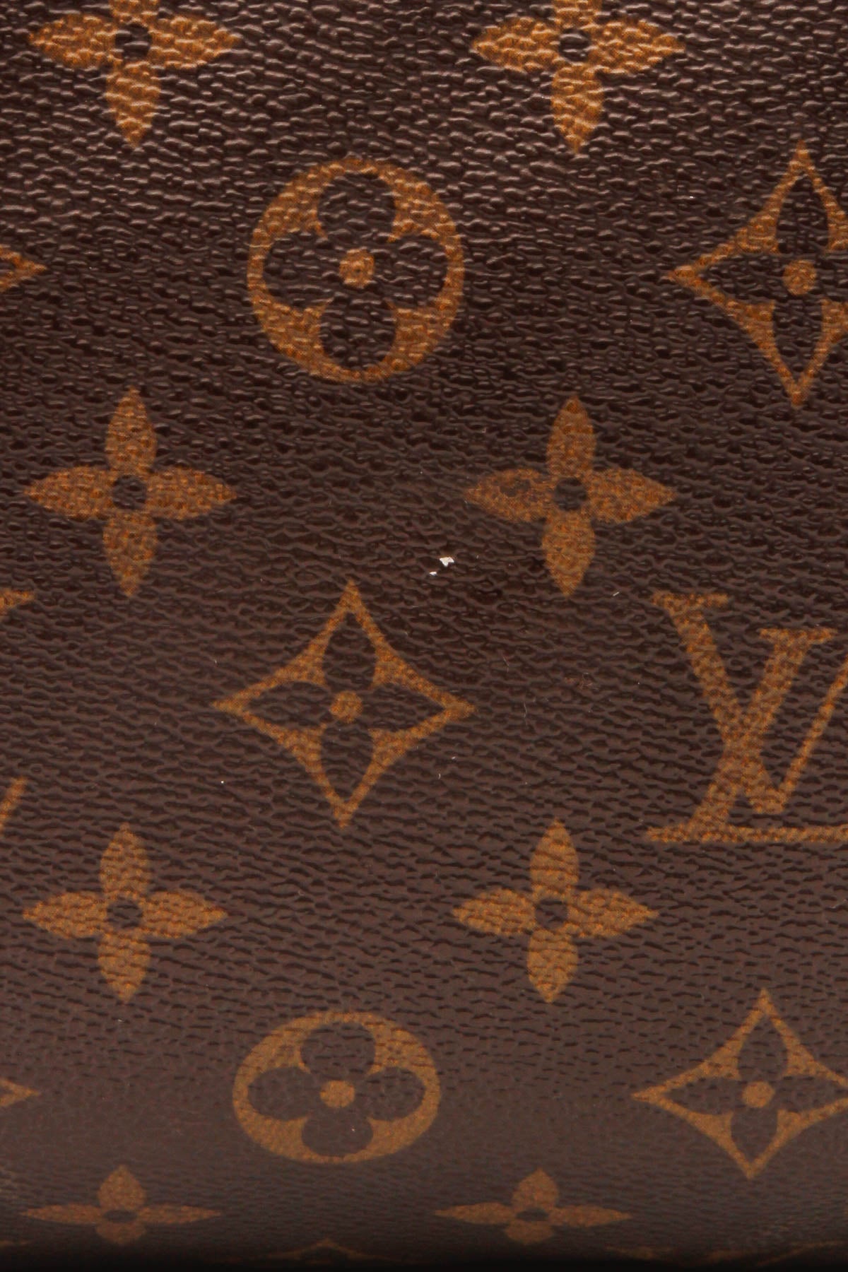 Speedy 30 Bag - Monogram