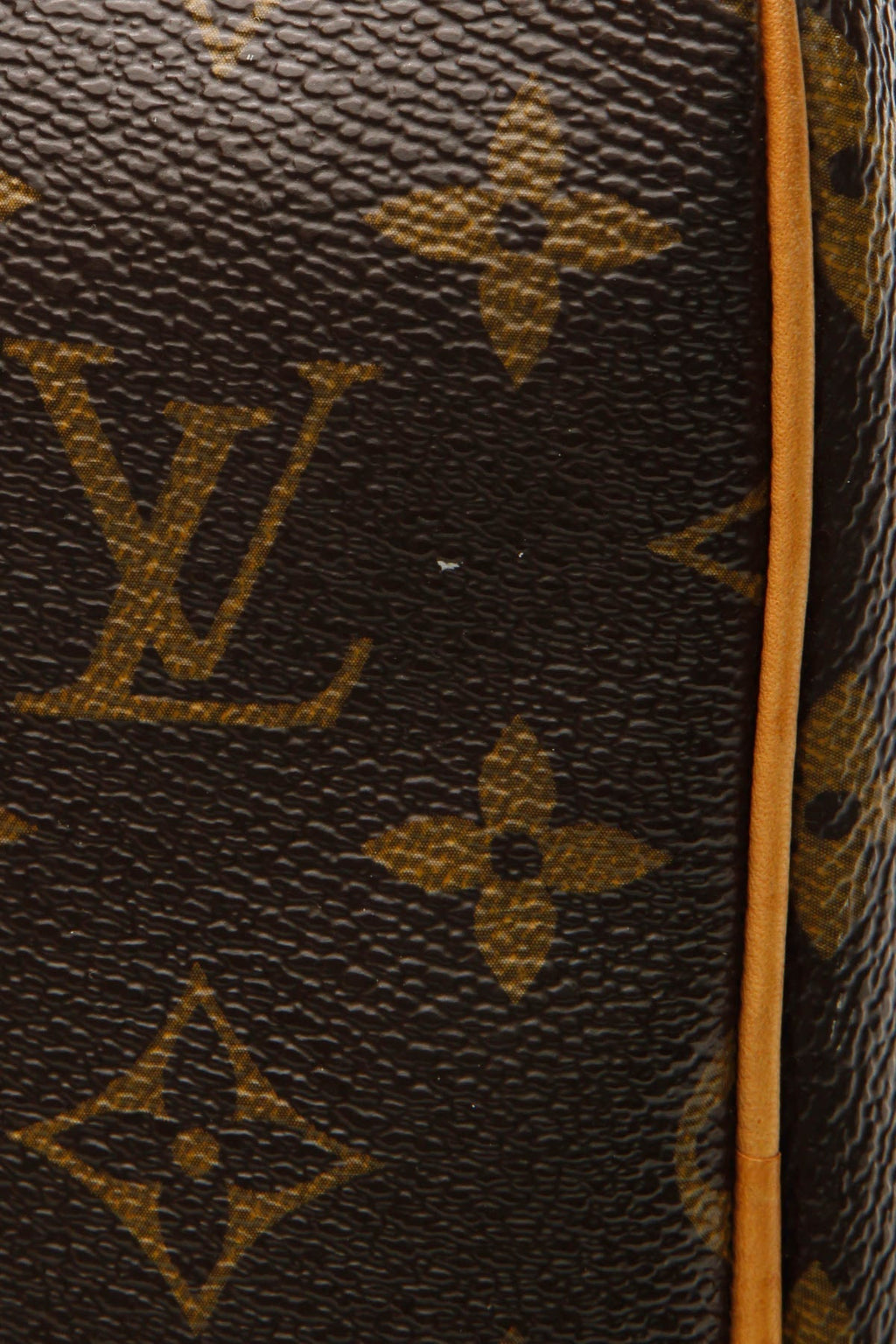 Speedy 30 Bag - Monogram