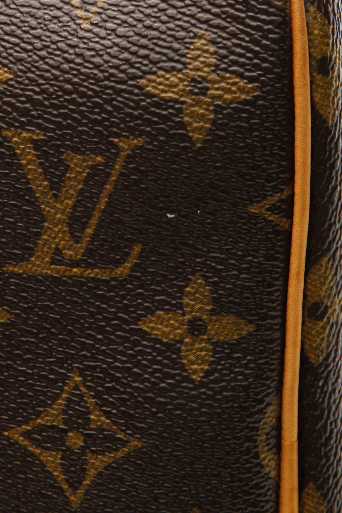 Speedy 30 Bag - Monogram
