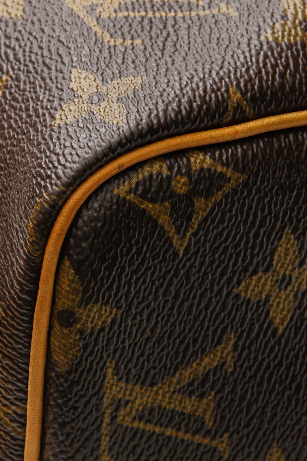 Speedy 30 Bag - Monogram