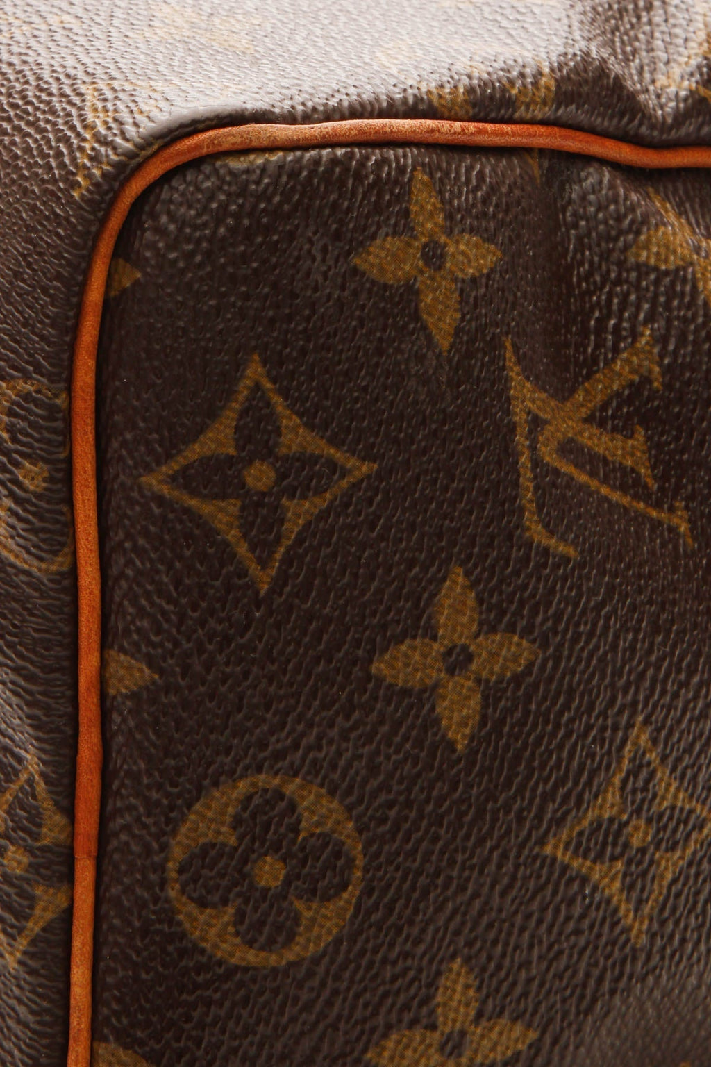 Speedy 25 Bag - Monogram