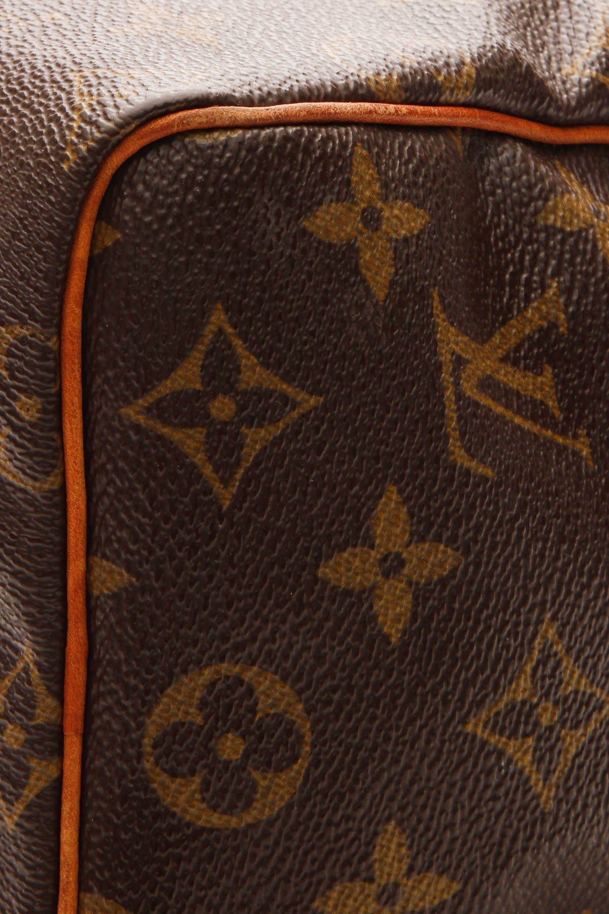 Speedy 25 Bag - Monogram