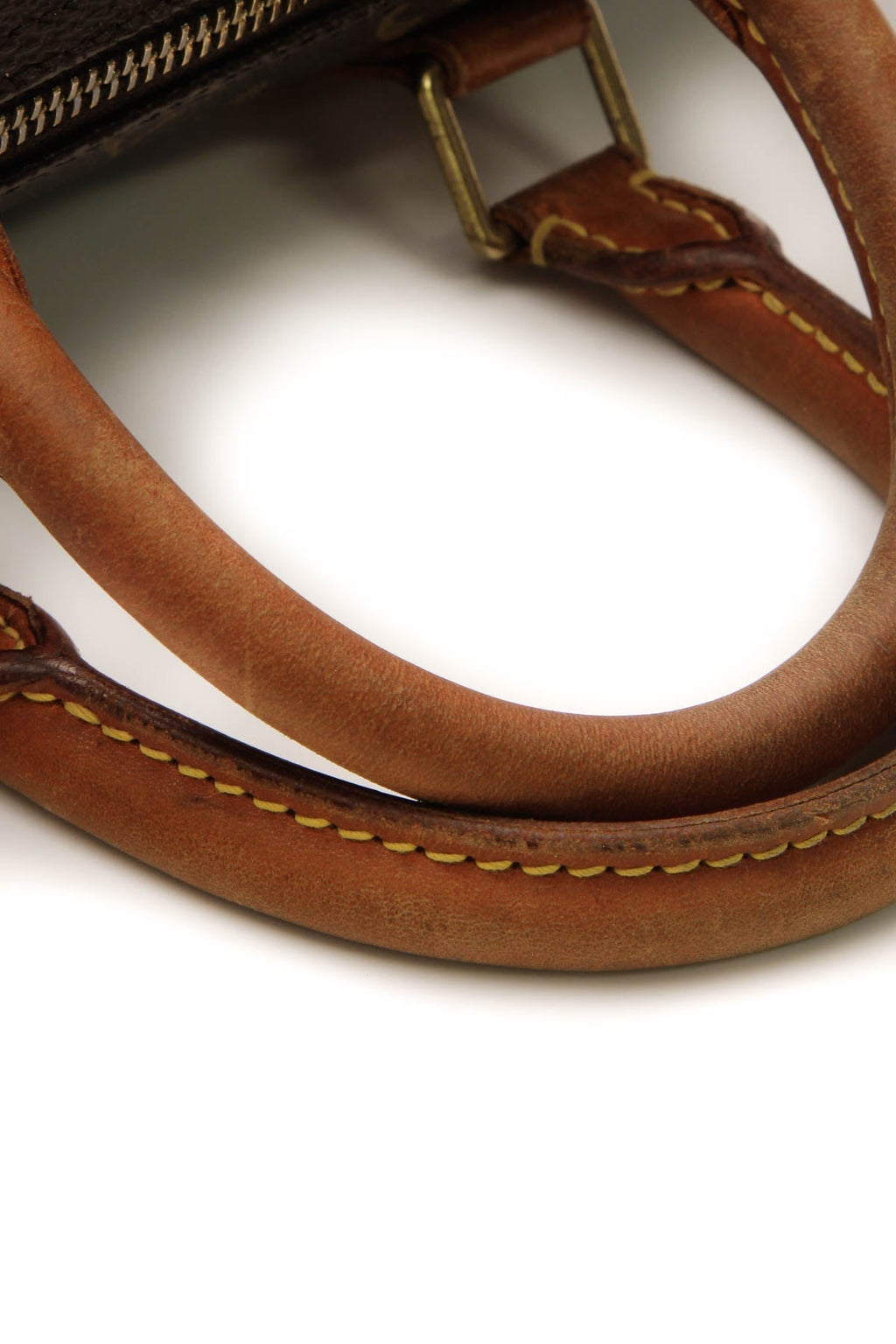 Speedy 25 Bag - Monogram