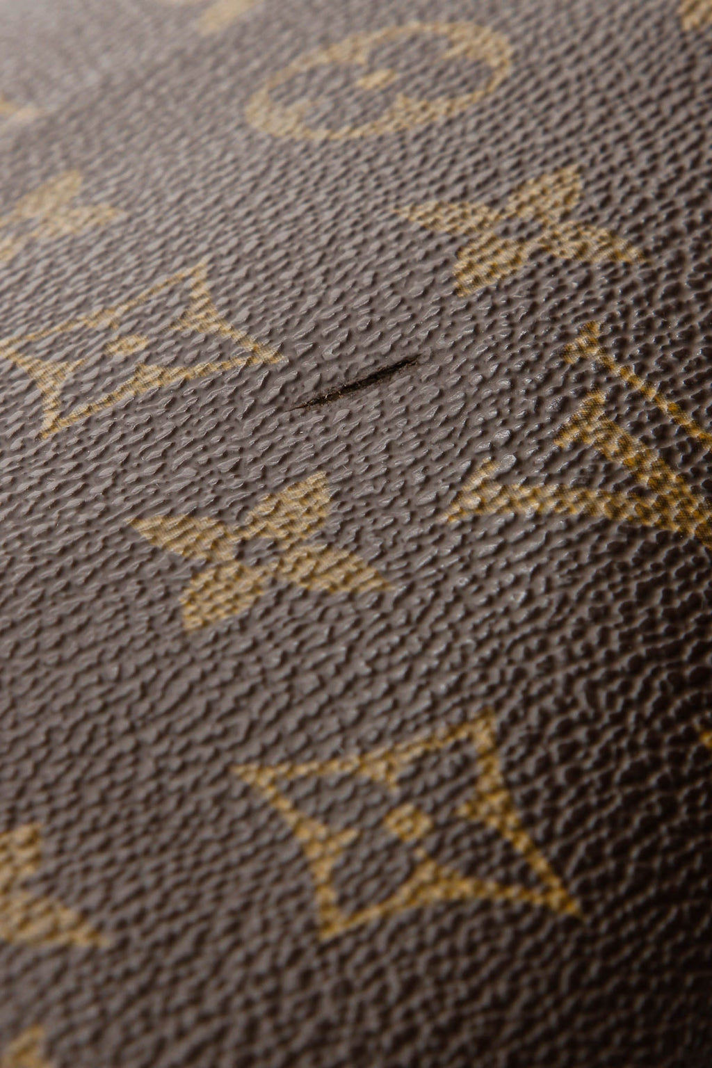 Speedy 25 Bag - Monogram