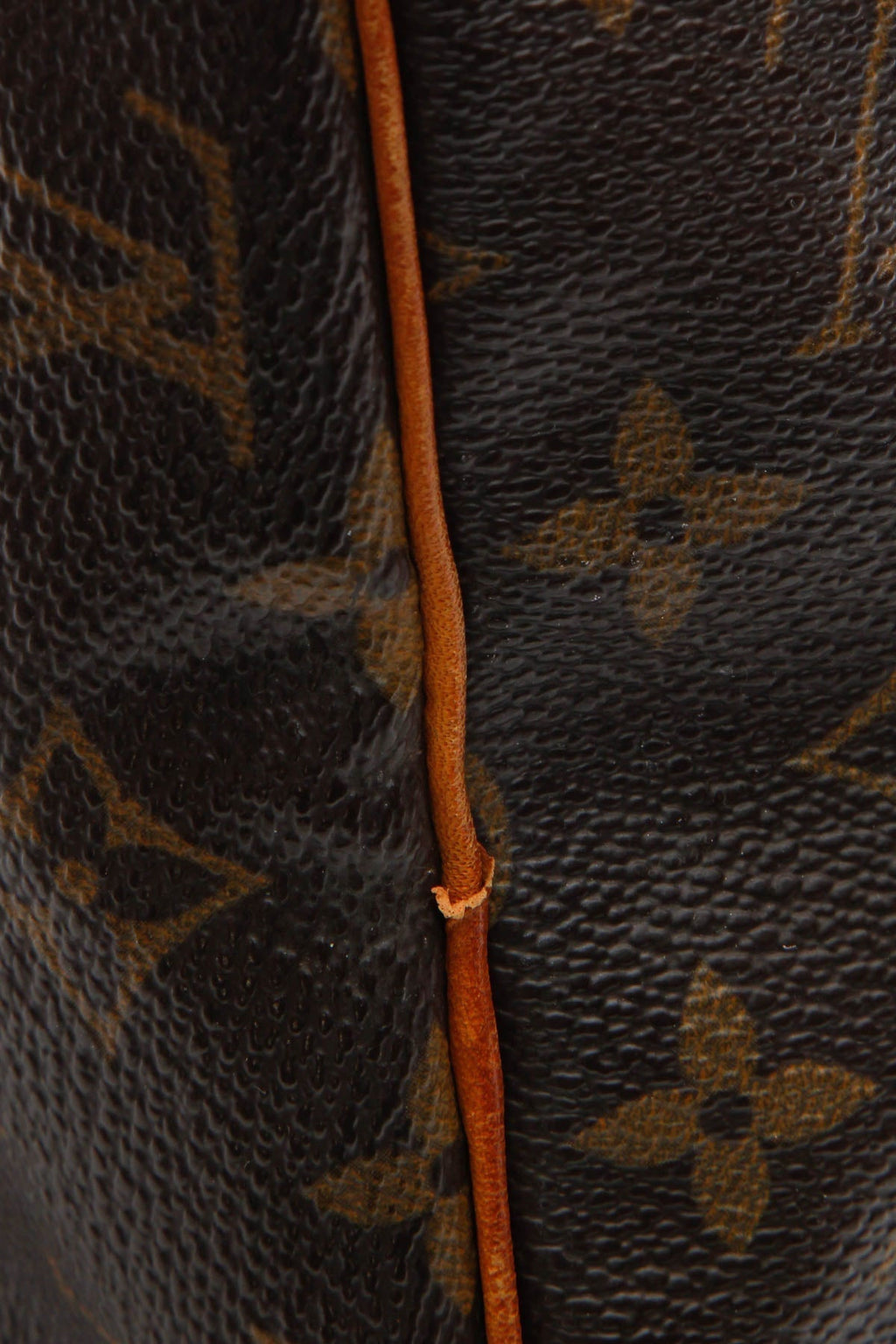 Speedy 30 Bag - Monogram