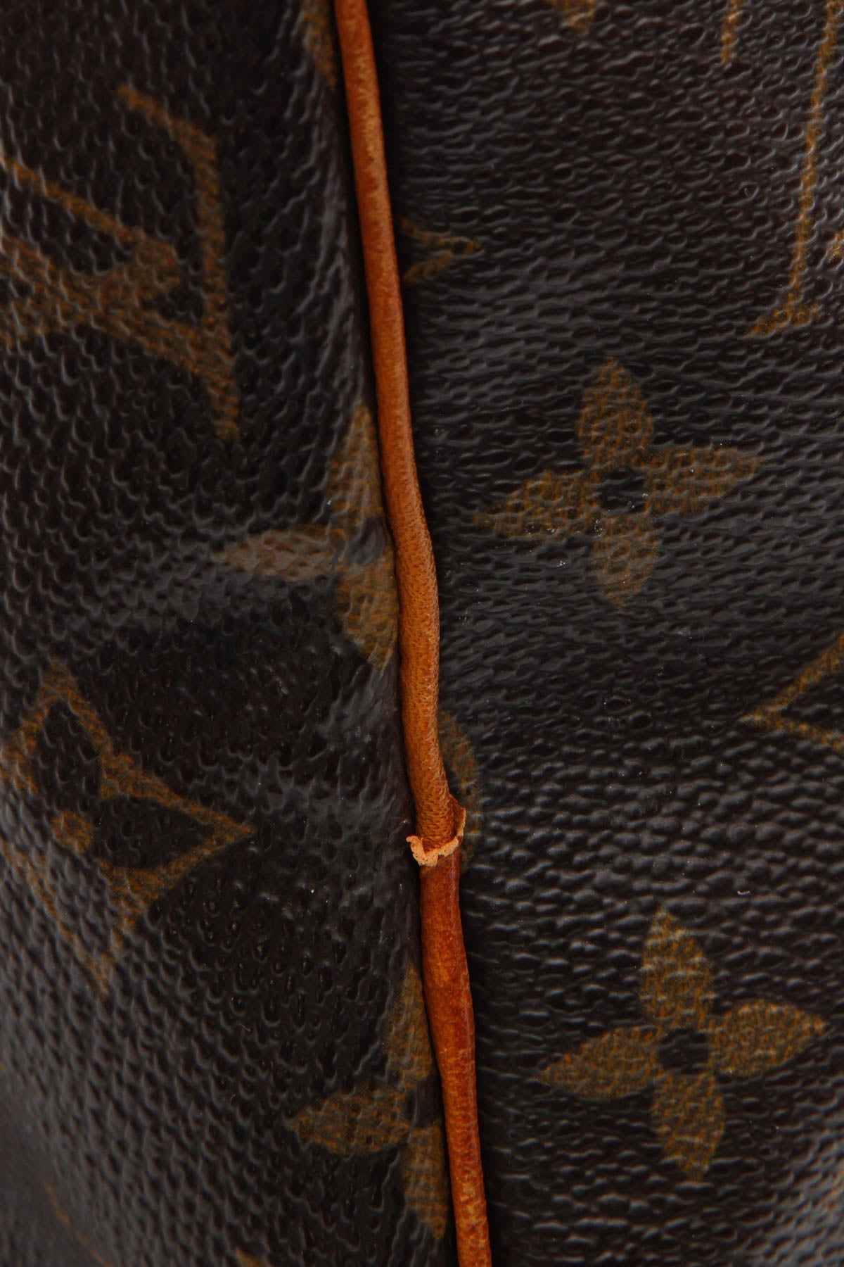 Speedy 30 Bag - Monogram