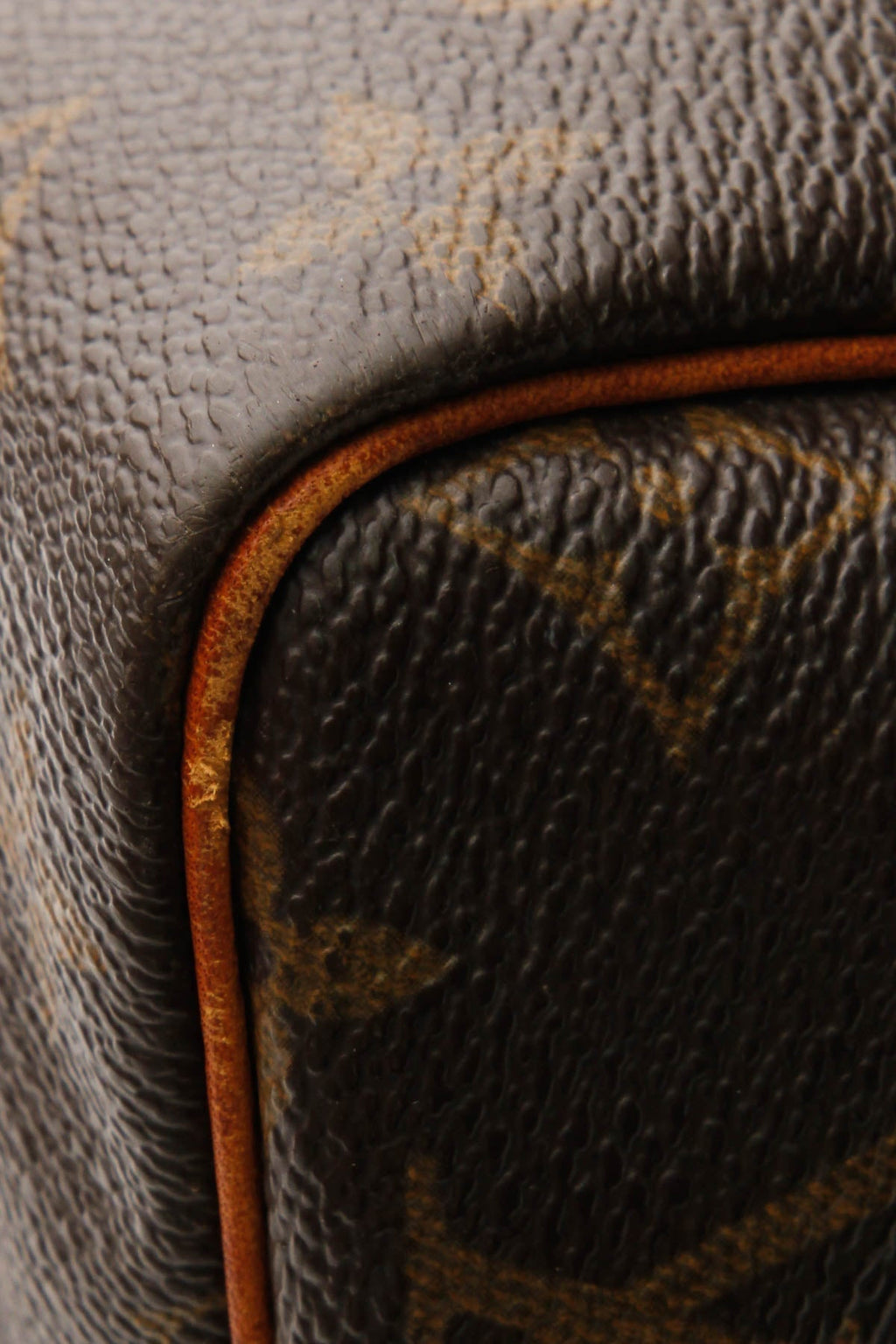 Speedy 30 Bag - Monogram