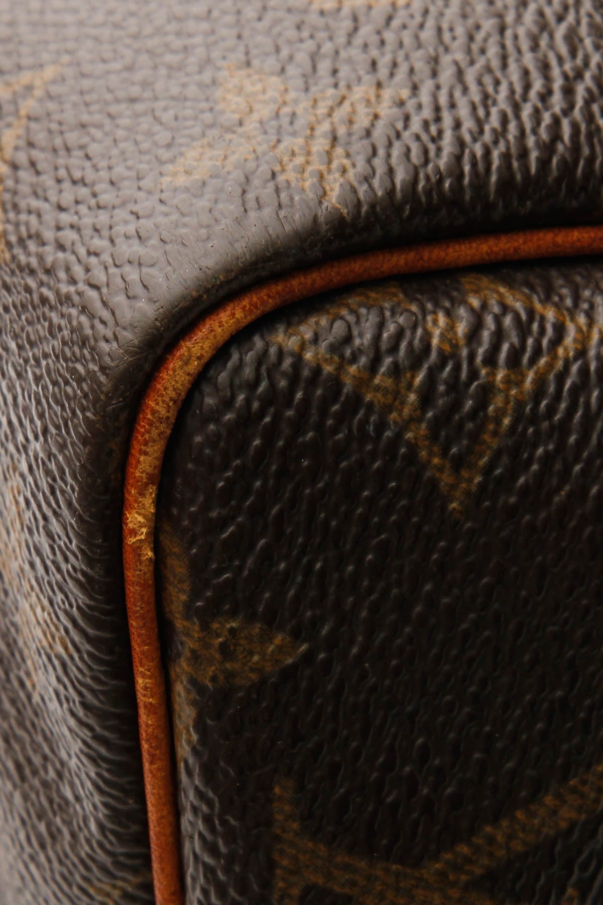 Speedy 30 Bag - Monogram