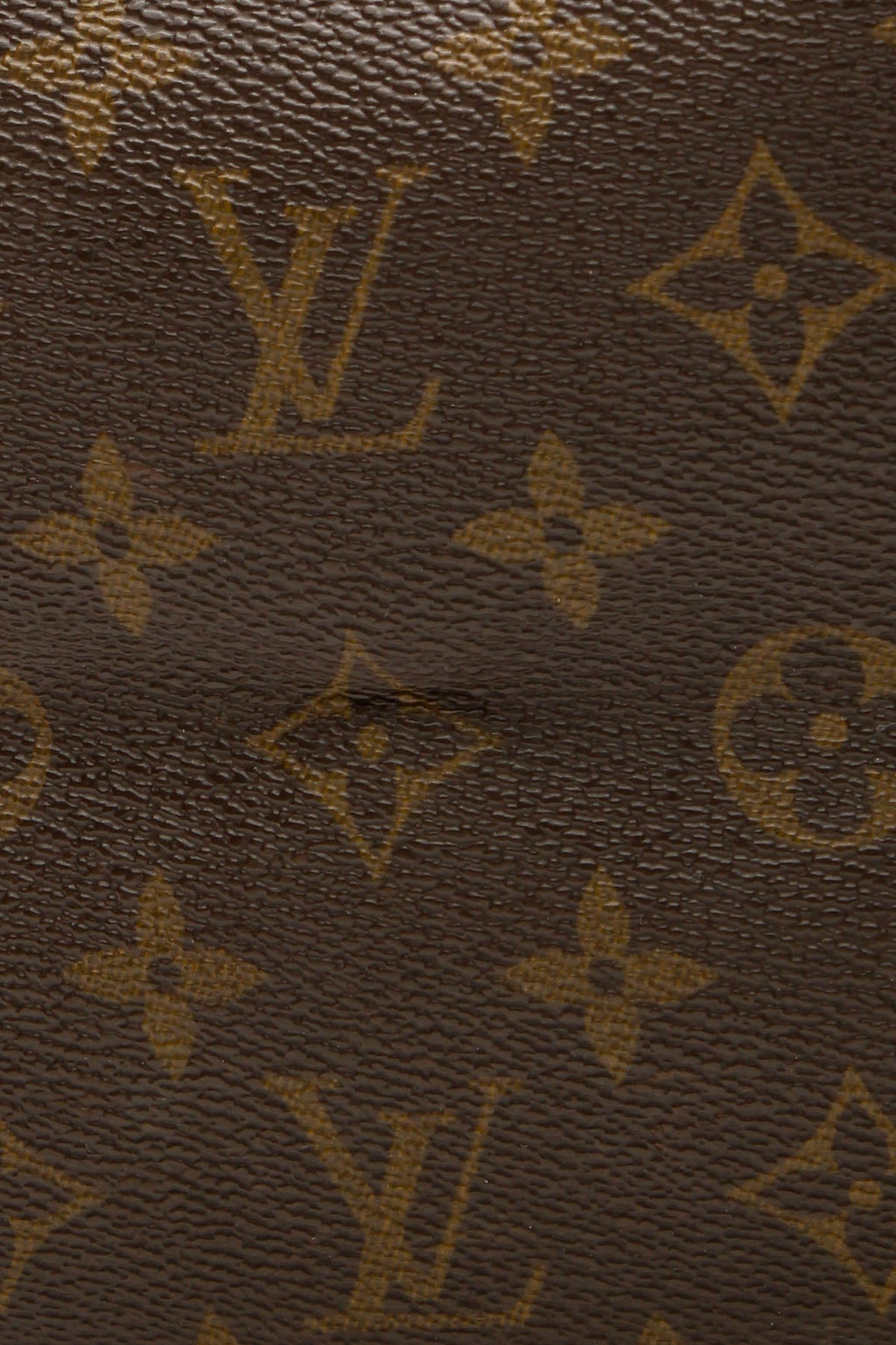 Neverfull GM Tote Bag - Monogram