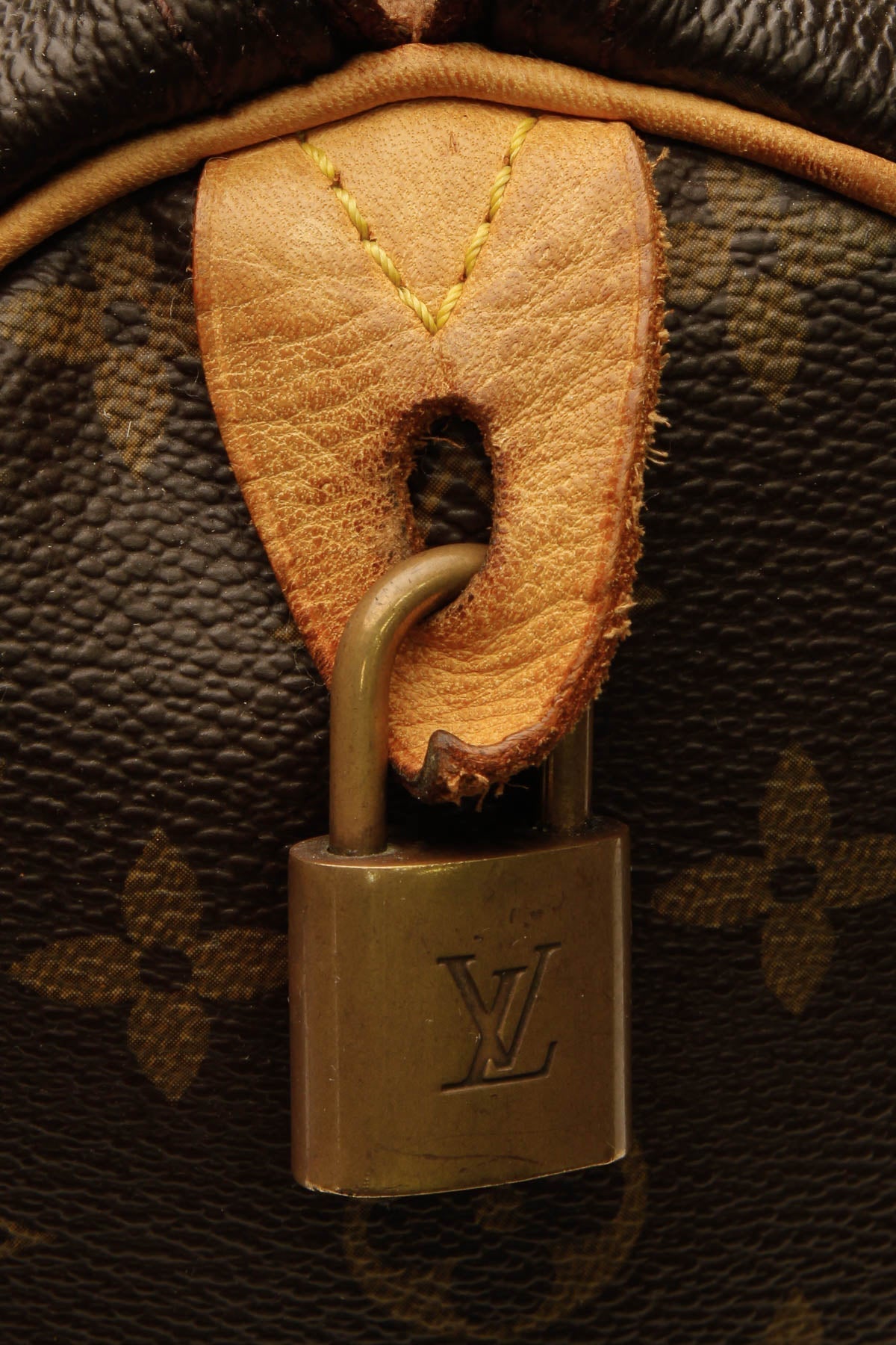 Speedy 30 Bag - Monogram