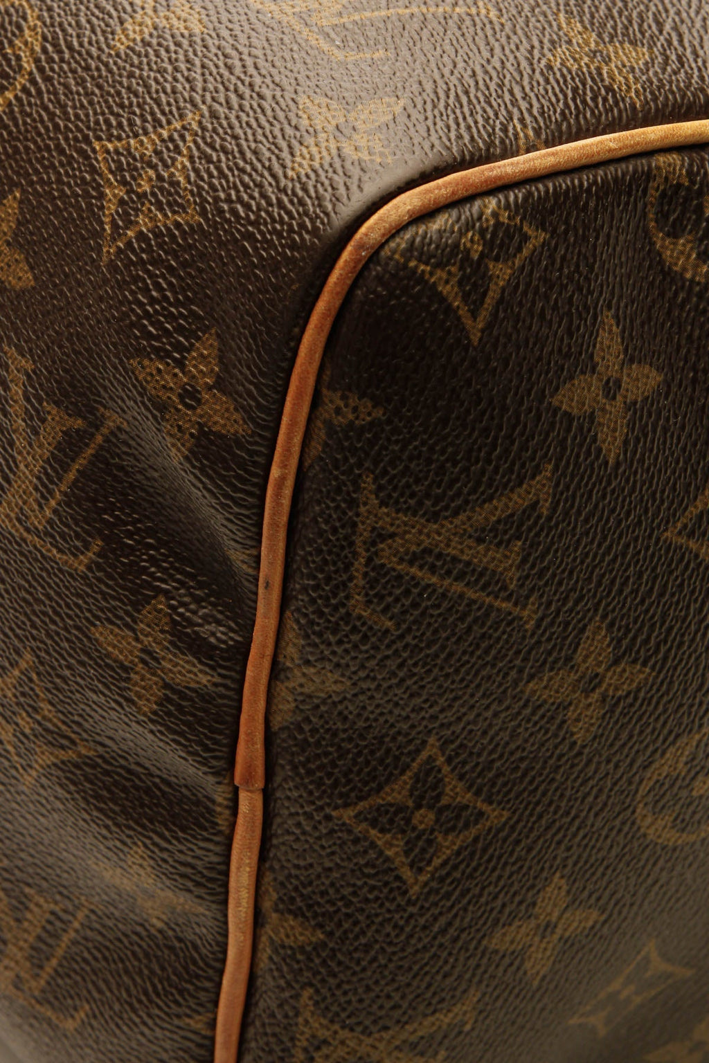 Speedy 30 Bag - Monogram