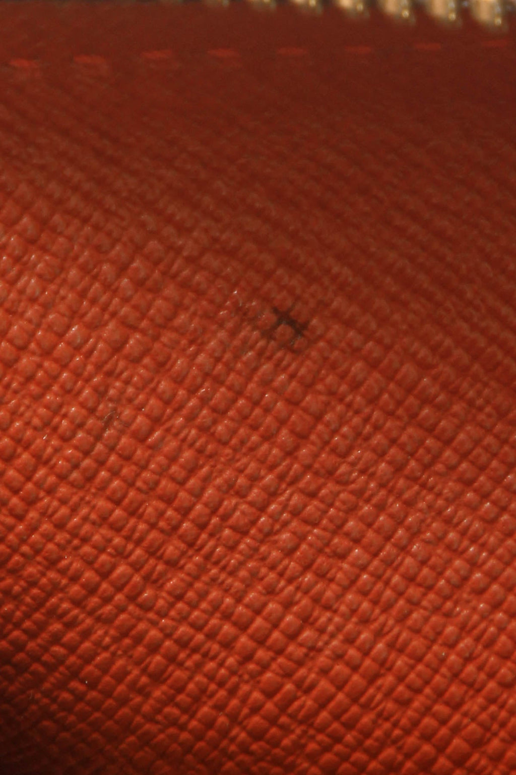 Papillon 26 Bag - Damier Ebene