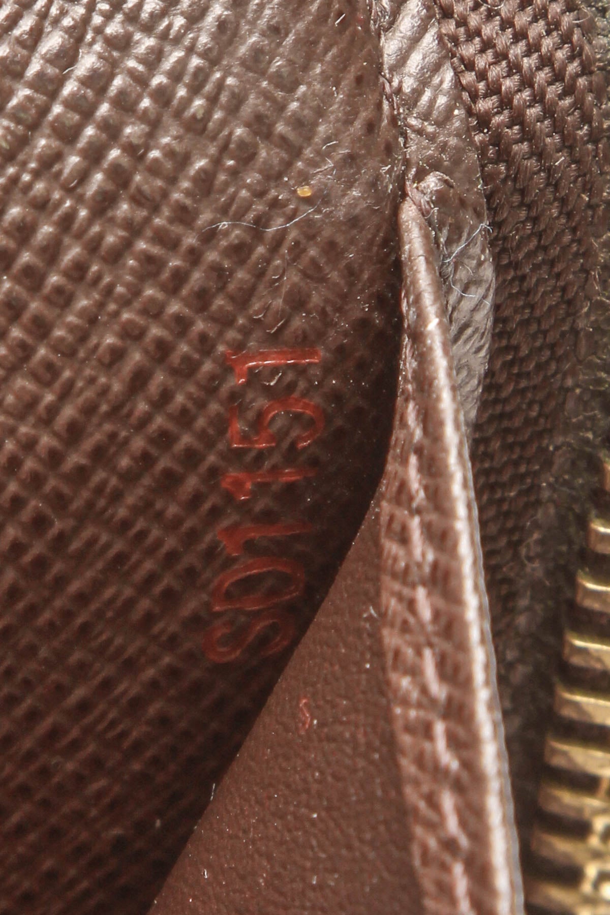 Zippy Organizer - Damier Ebene