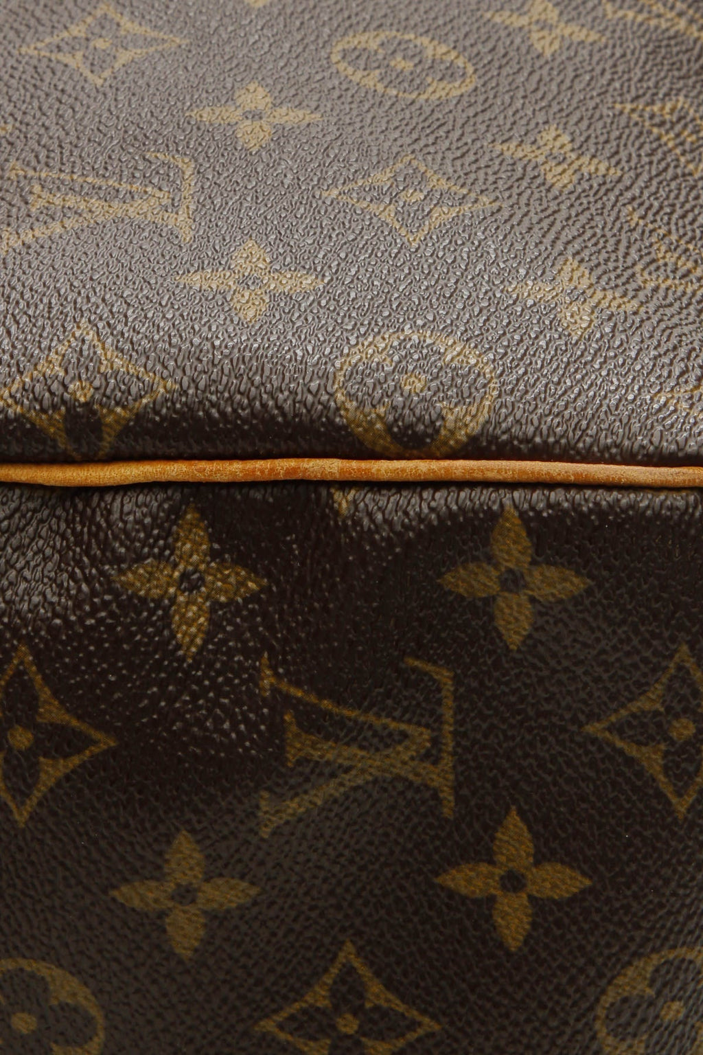 Speedy 25 Bag - Monogram