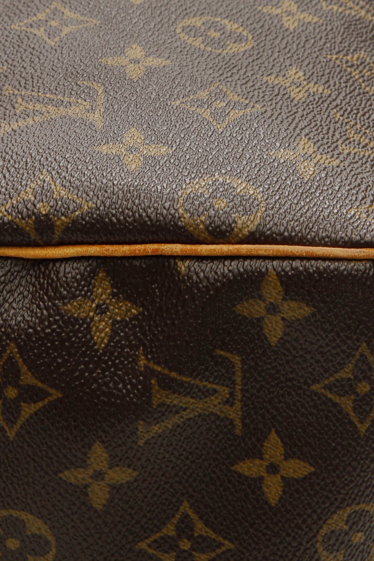 Speedy 25 Bag - Monogram
