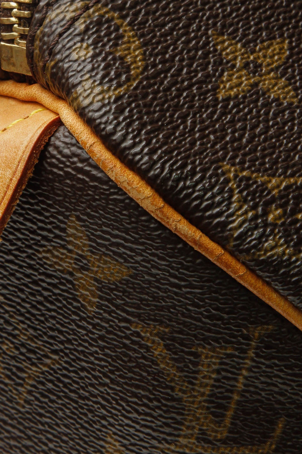 Speedy 25 Bag - Monogram