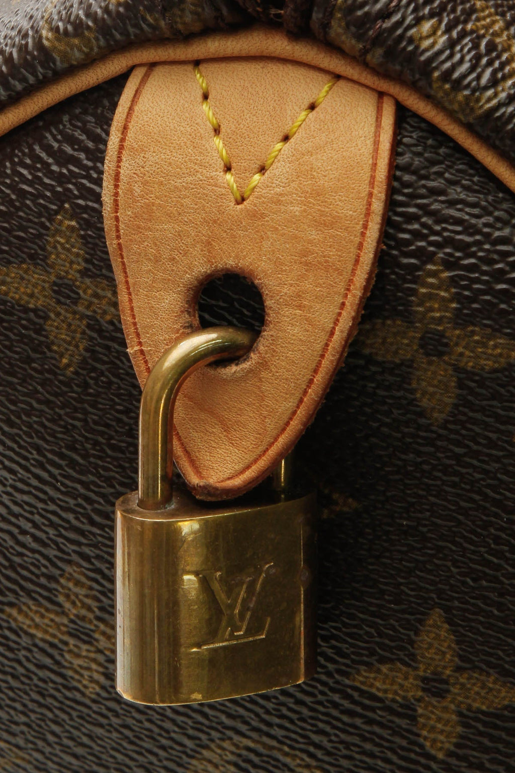 Speedy 25 Bag - Monogram