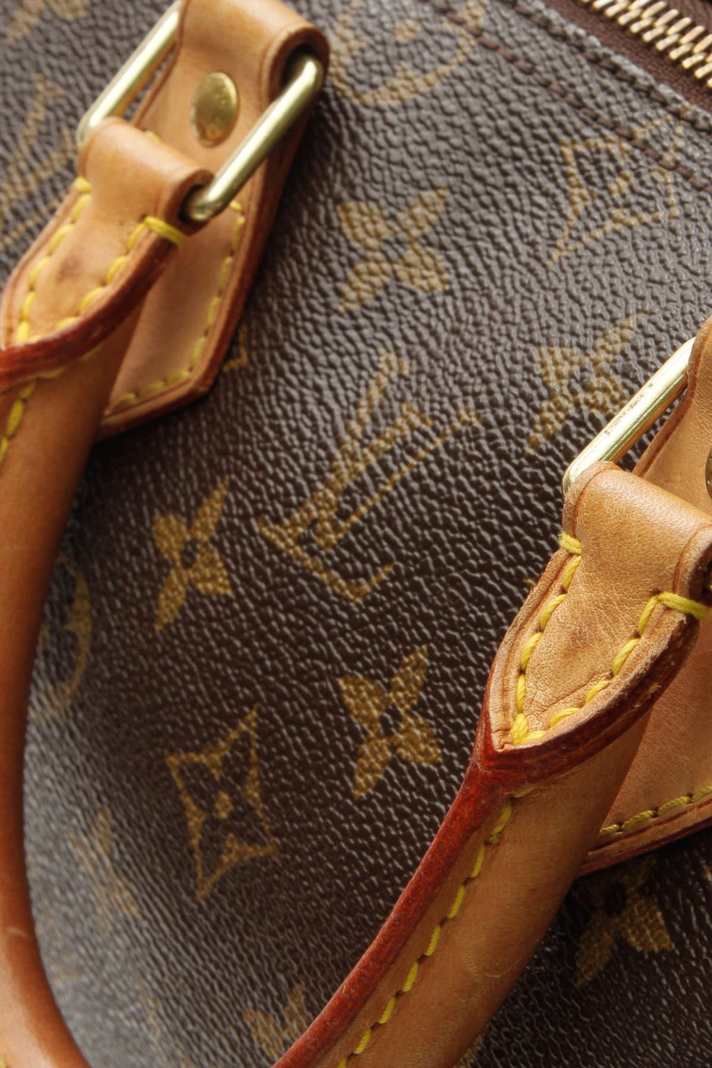 Speedy 25 Bag - Monogram