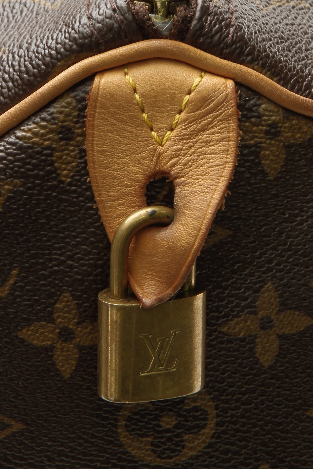 Speedy 30 Bag - Monogram