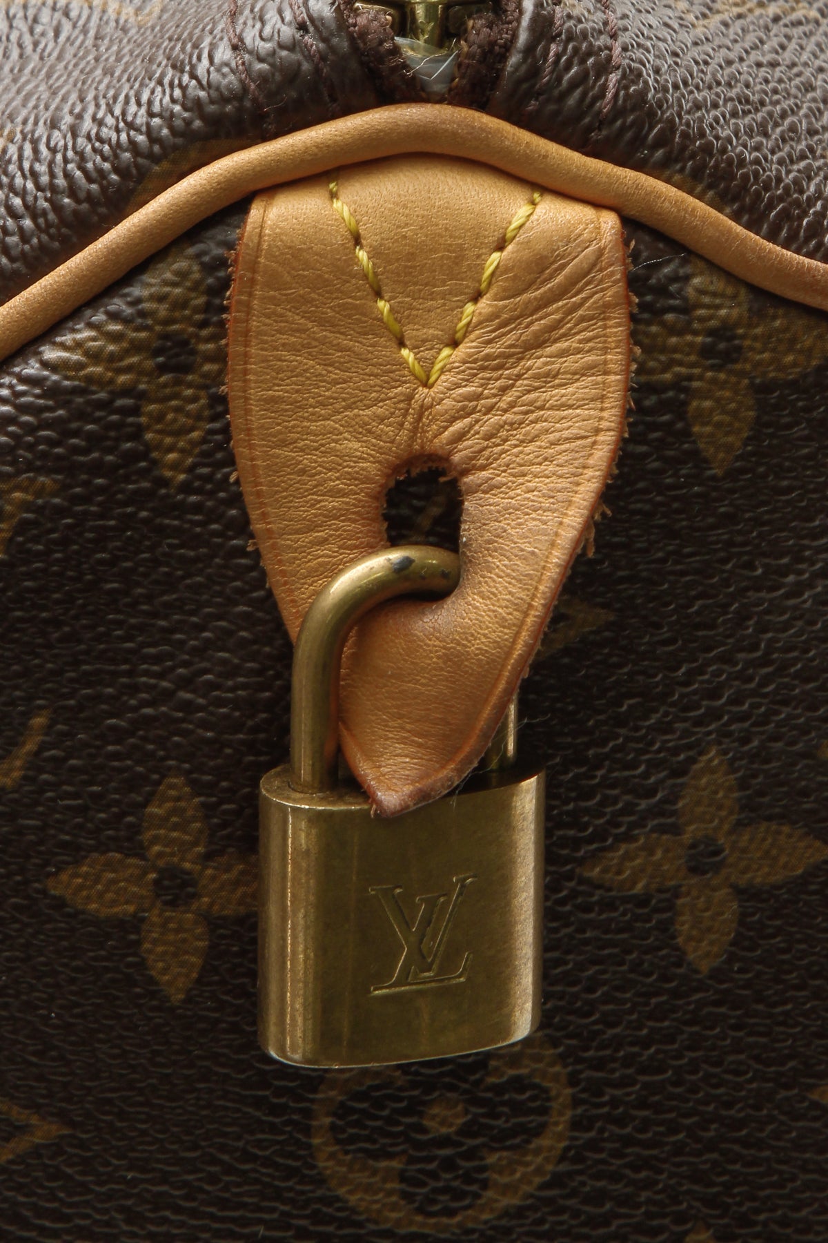 Speedy 30 Bag - Monogram