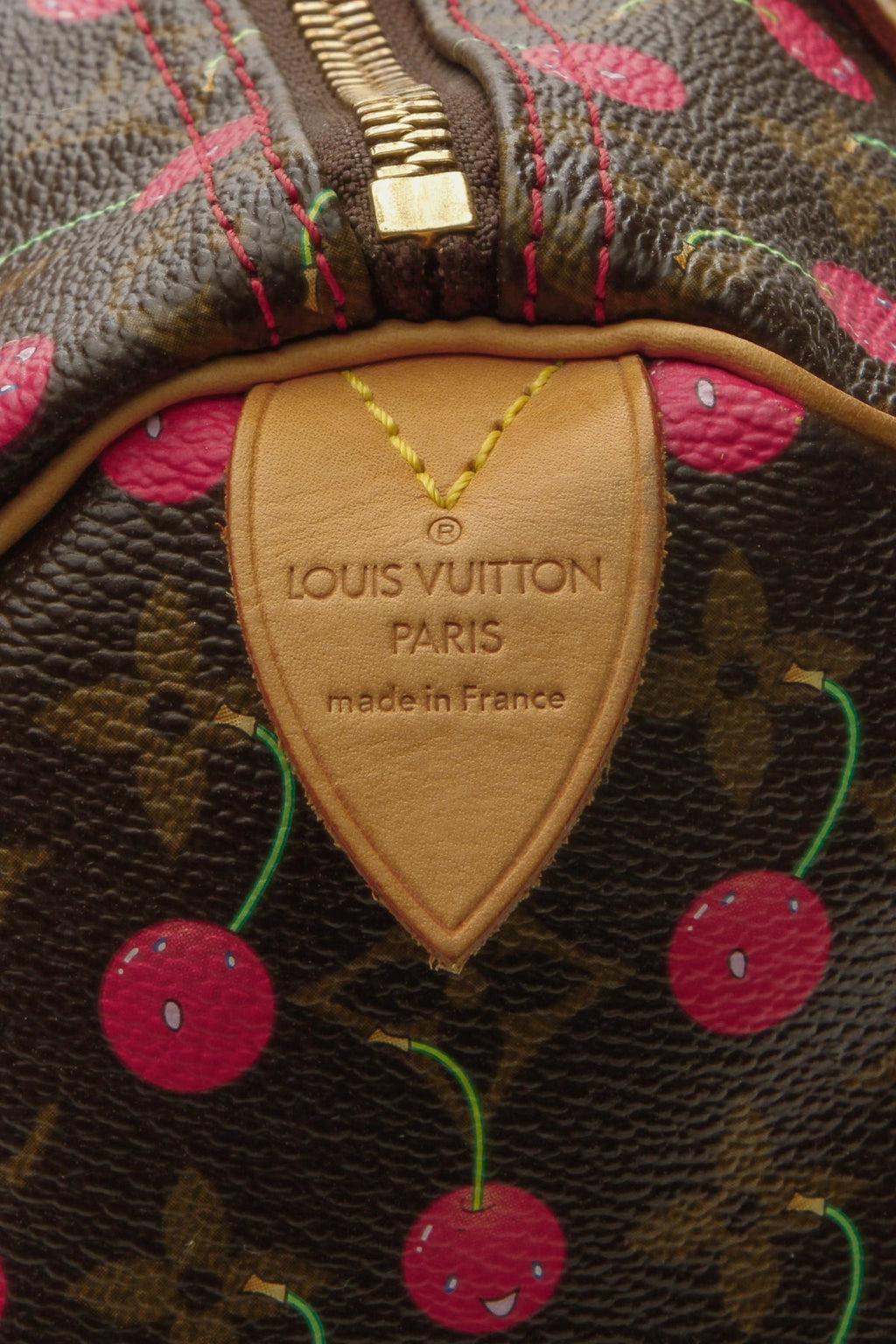 Speedy 25 Bag - Monogram Cerises