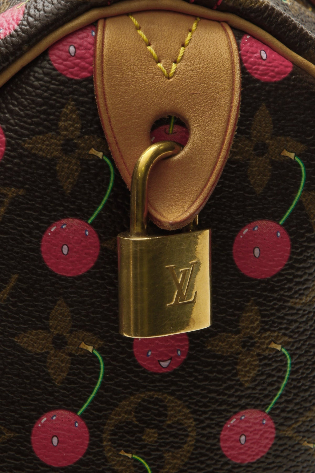 Speedy 25 Bag - Monogram Cerises