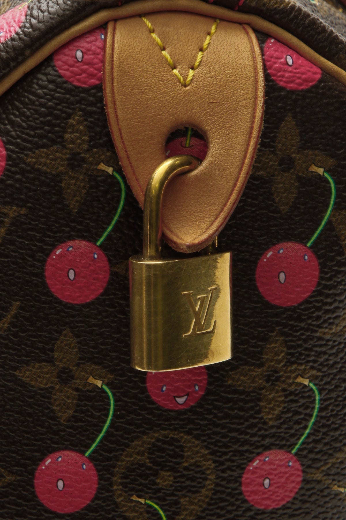 Speedy 25 Bag - Monogram Cerises