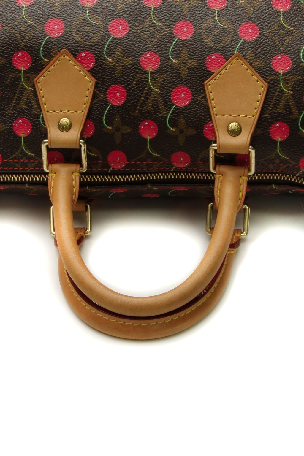 Speedy 25 Bag - Monogram Cerises