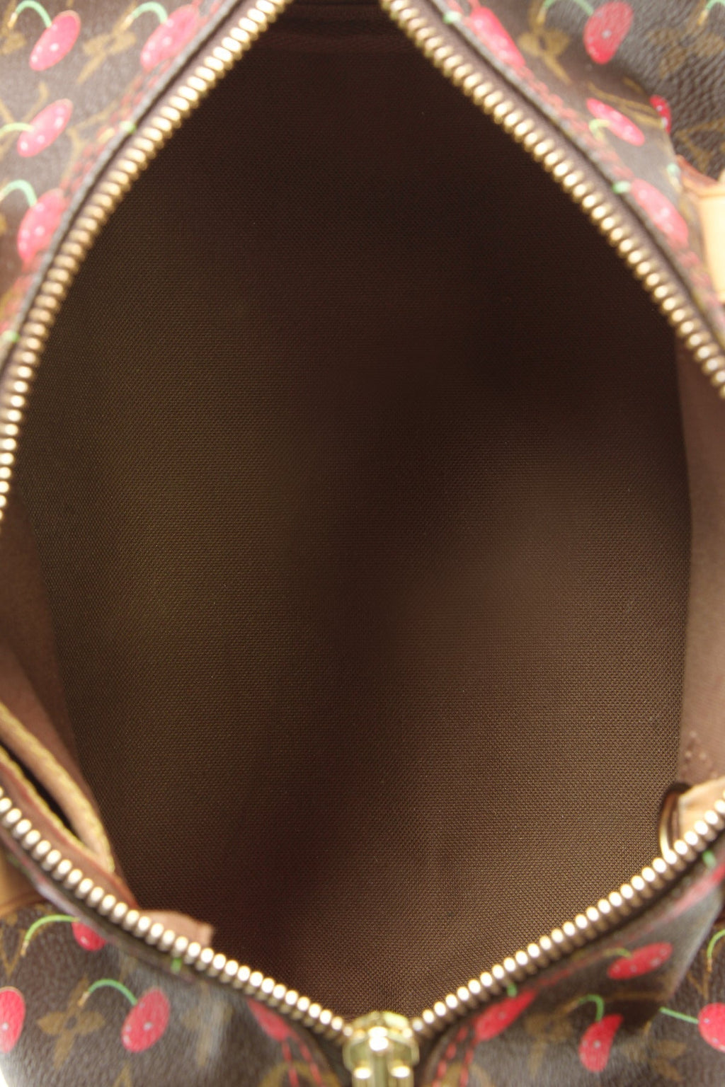 Speedy 25 Bag - Monogram Cerises