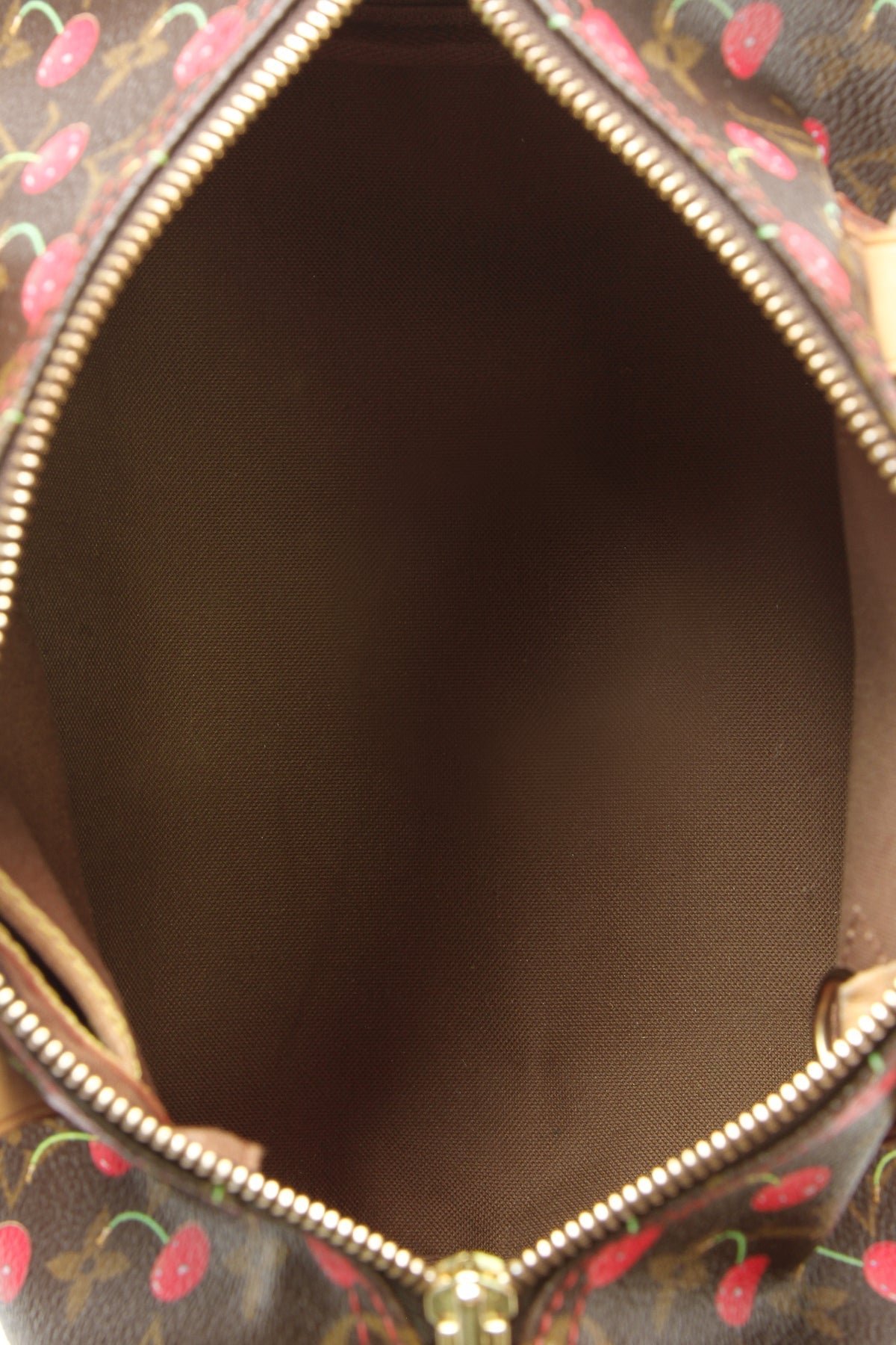 Speedy 25 Bag - Monogram Cerises
