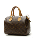 Speedy 25 Bag - Monogram