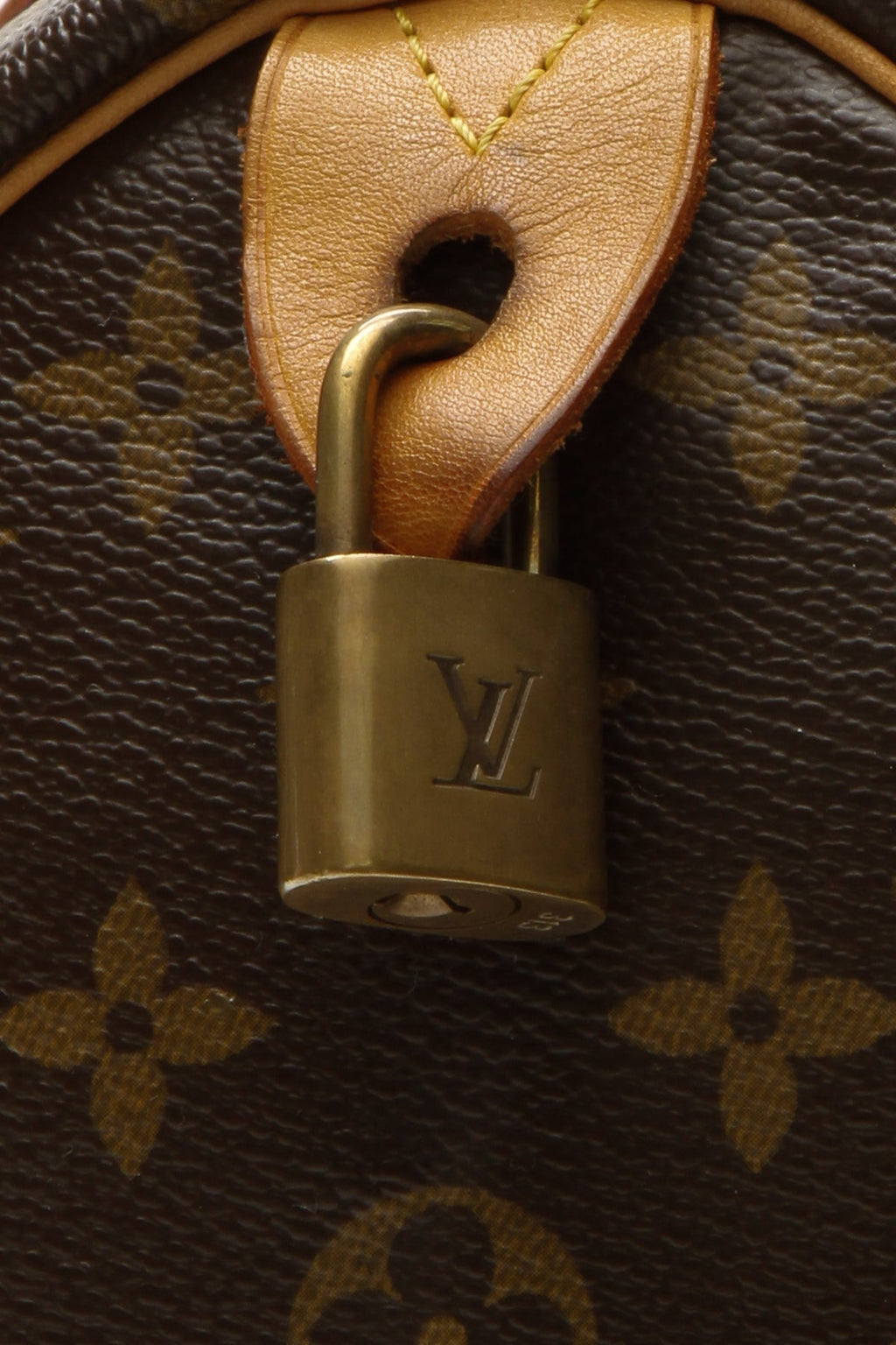 Speedy 25 Bag - Monogram